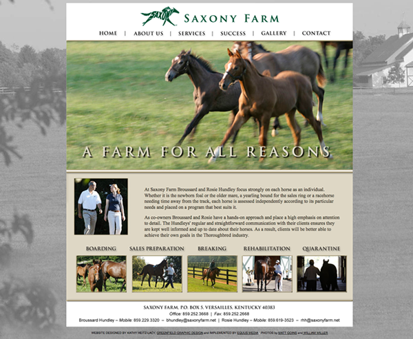 horse equine Web Website brand tan beige soft