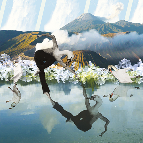 photoshop collage duck montage Landscape colors books children editorial