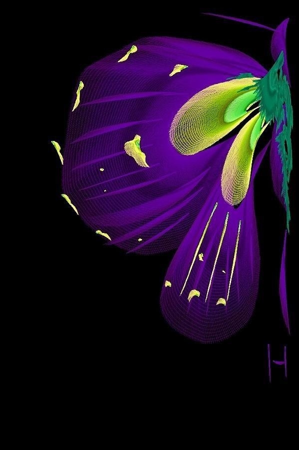 finger painting flowpaper butterfly texture ipad art iPod Art Colourful 