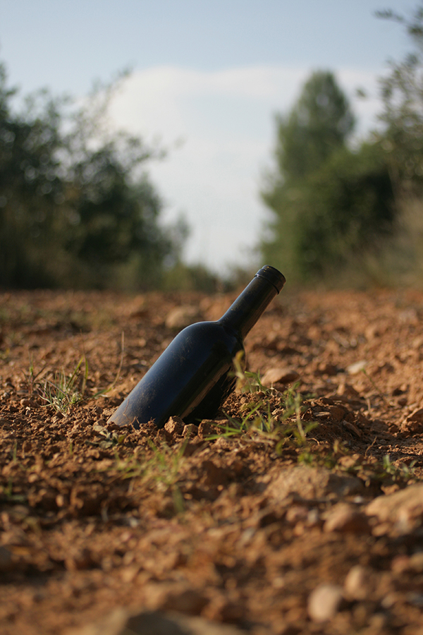 Enserio banyoles Tivissa Cantamanyanes Sistema Vinari wine bottle handcrafted