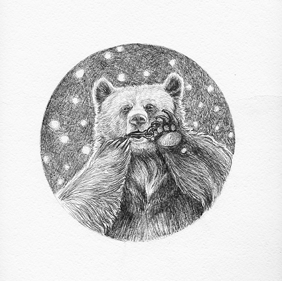 медведь арфа лес животные графика pencil brown