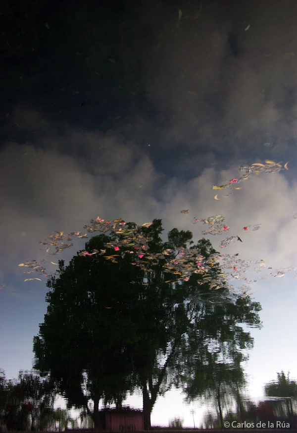 reflections water bali