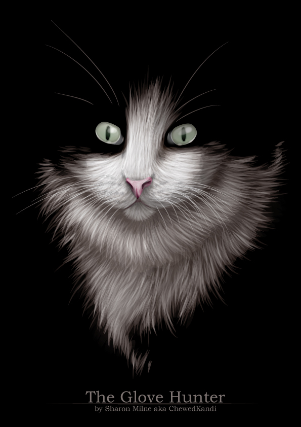 adobe illustrator vector Tutorials Education cats dogs wolf Fur negative space animals portraits