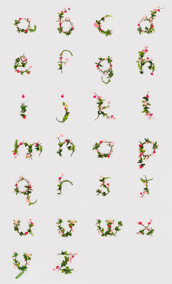 Flowers MICA alphabet anne lee anne lee designs photo letters lettering