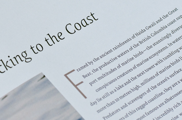 fsi FontFont ff FF Tundra Ludwig Übele Raincost Conservation Foundation book type Typeface font design