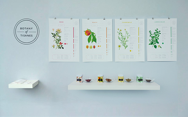 tea poster tisanes botany