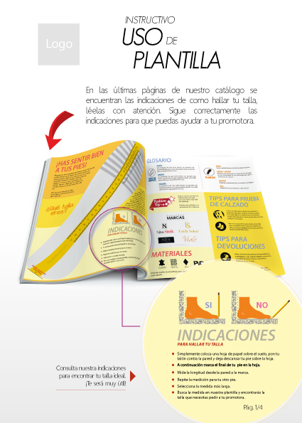 editorial Guide shoe ILLUSTRATION  infographic branding  template footwear diagramación