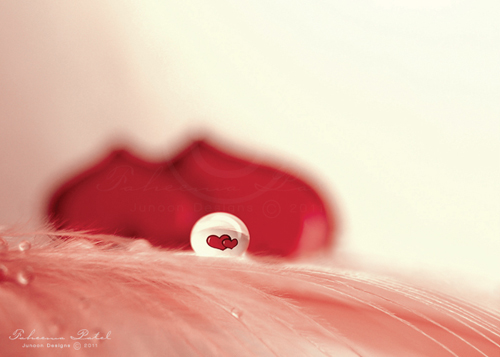 heart Love macro conceptual photography conceptual XOXO hearts Nature droplets spot colour red