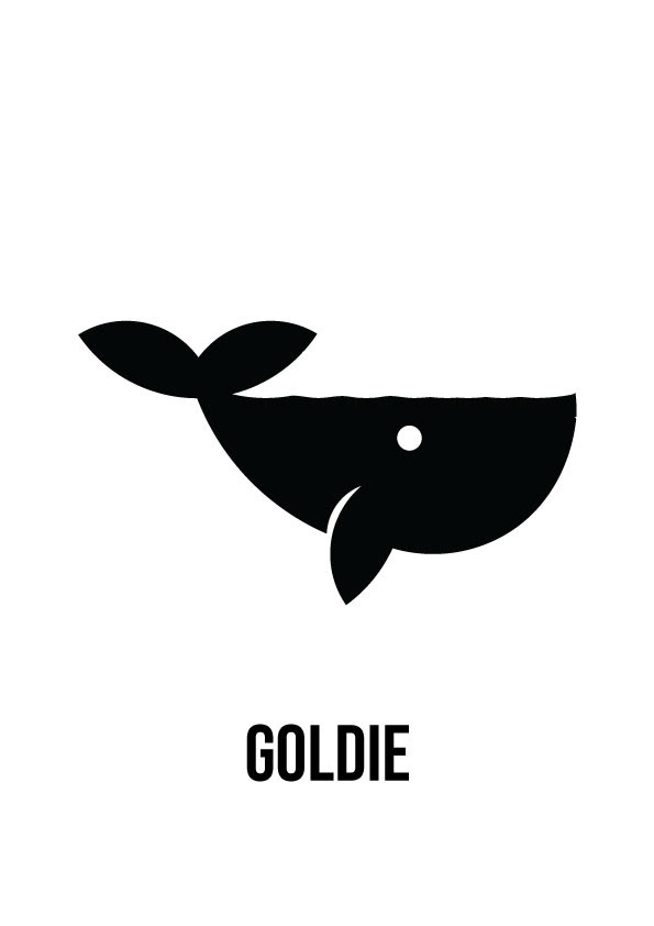 Logo Design brand identity Advertising  goldenratio animallogo fishlogo goldenratiologo