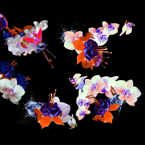 fashion design Pinko cool fashion Digital Flowers pantone color amazing color color combination salsomaggiore