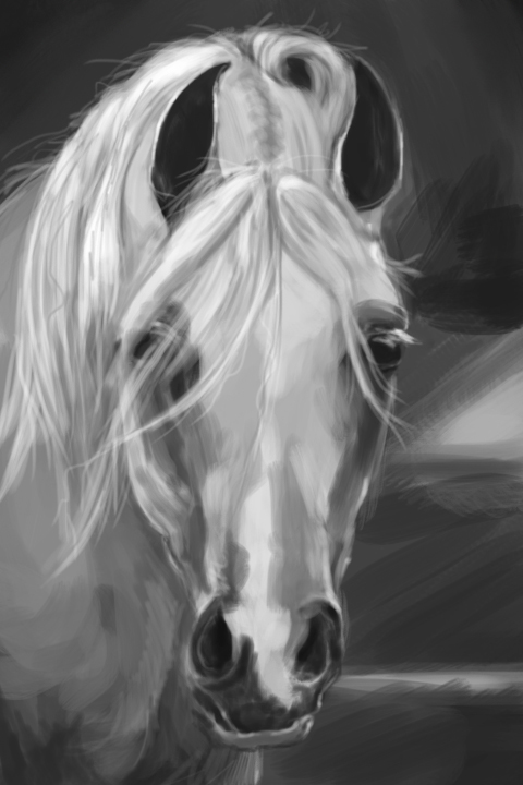 ILLUSTRATION  Digital Art  Drawing  portrait horse concept art