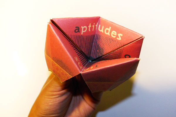 Cootie Catcher Cocotte game paper papier carte de visite business card portfolio CV Resume plaquette fortune teller jeu pliage origami 