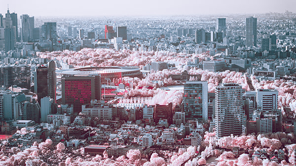 Infrared Photography of TOKYO 2020