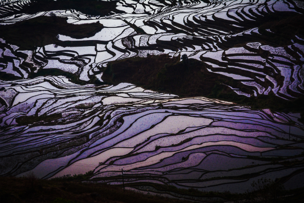 #China #riceterraces #ethnicminorities #yuanyang
