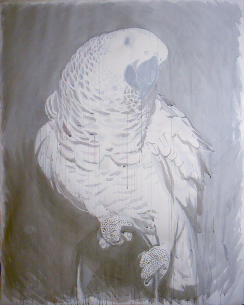 parrot large scale work on paper watercolour