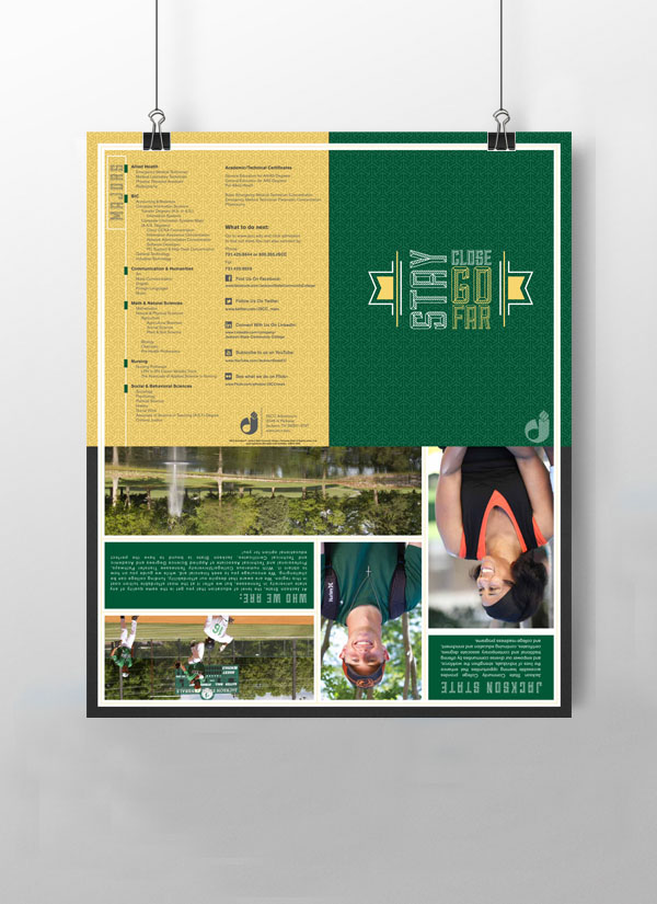 poster brochure infographics college University texture print