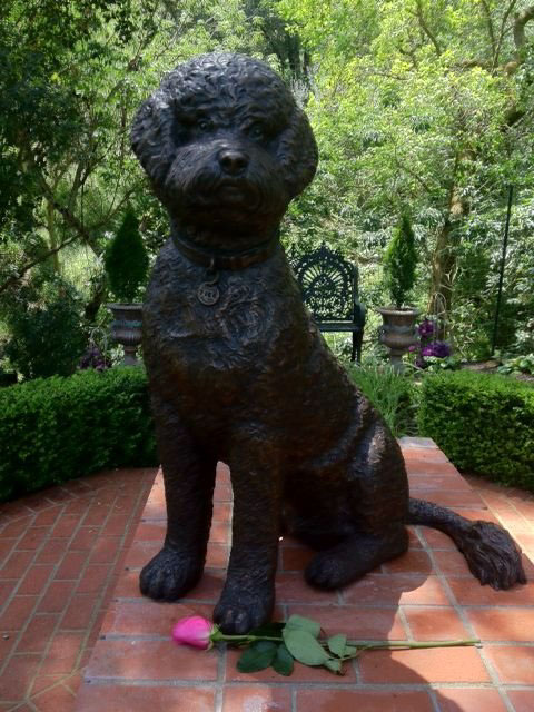 bronze dogs Dog Portraits bulldog statue dachshund statue rottweiler portrait statue poodle portrait statue pitbull statue black lab statue pug portrait bosco dog mayor life-size dog sculptures custom dog statues monty therapy dog personalized dog sculptures how to order