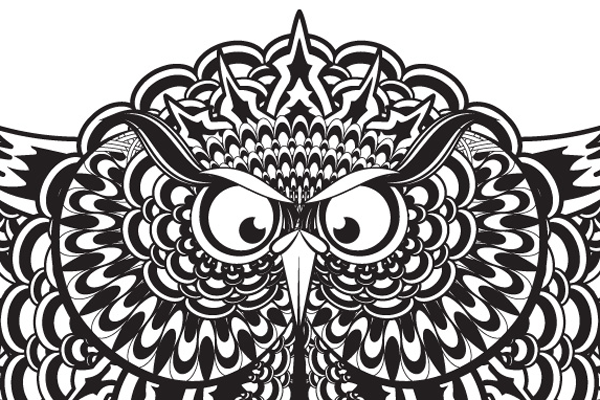 black & white owl mistic