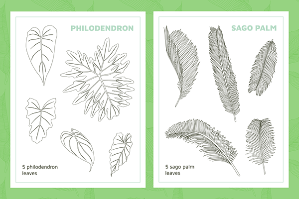 Set of 45 vector tropical leaves with 10 exotic pattern