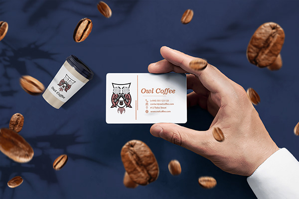 Owl Coffee Brand Design