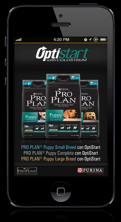 design tablet mobile  app  android Website ProPlan Purina diseño argentina perros dogs cats gatos