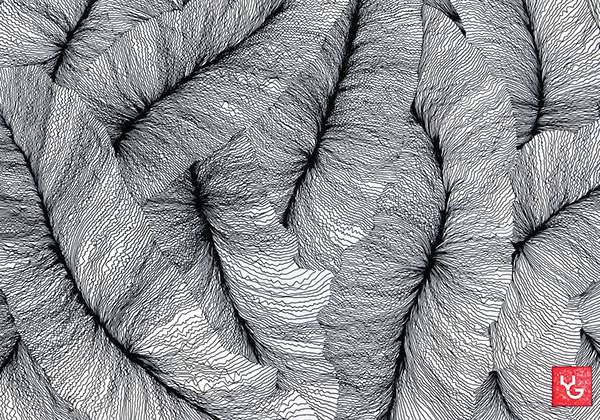 ink line Marker Drawing  rapidograph texture flower pointilism lineism zentangle
