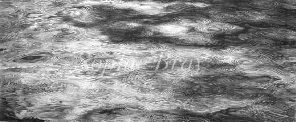Adobe Portfolio Australian sydney paper Ocean water surface horizon swell coral pencil on paper