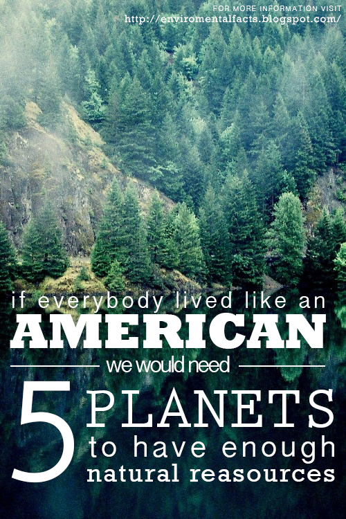 environment poster type text environmental facts