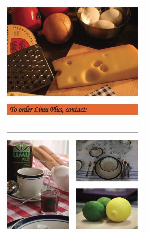 Booklet Food  smoothies recepies setting Erving Croxen chef Michel Houle Vitamark International Limu Plus