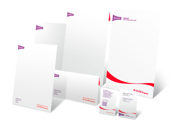 Manual de Marca brand imagen corporativa folletos Material publicitario diseño gráfico creatividad editorial