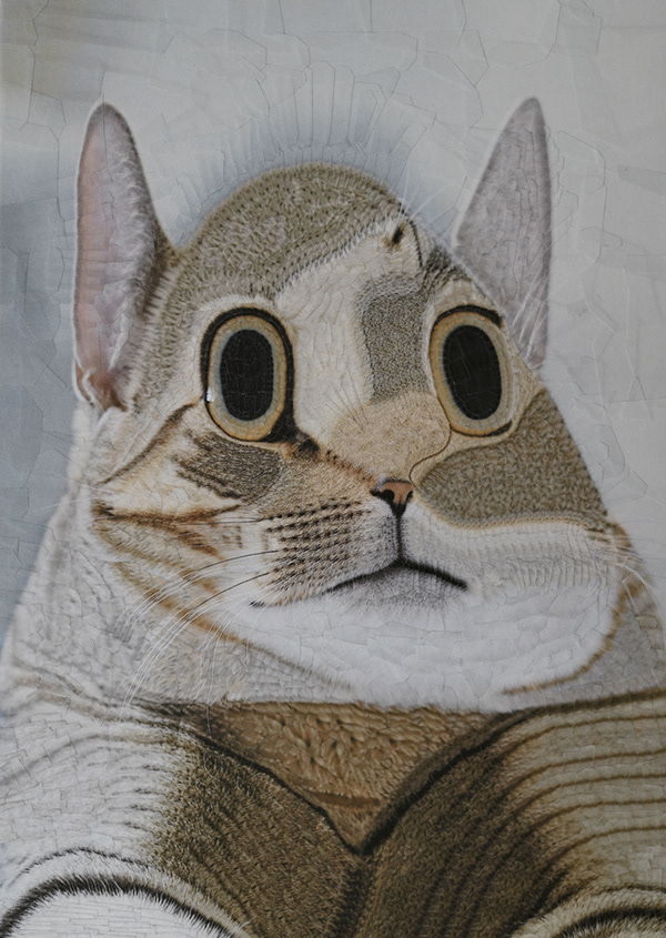 Cat portraiture 2022