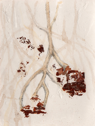 stecca Gerry Stecca mixed media abstract miami roots paper bark