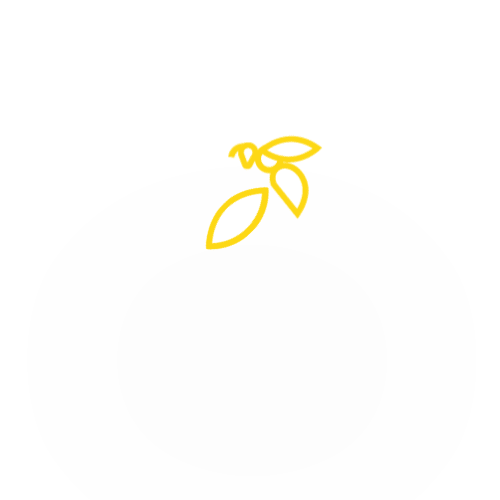 bbrown brandbook guideline brand identity Brand Guideline branding  bee logo BBRAND BOOK honey bee