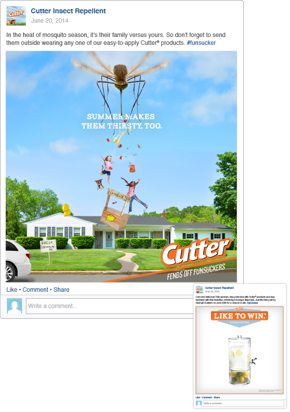 cutter insect repellent facebook social media campaign Funsucker summer Fun family