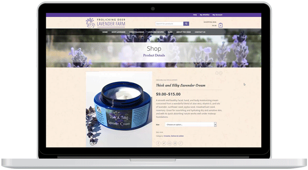 Adobe Portfolio UI design Website lavender graphic wordpress Responsive branding Logo ux