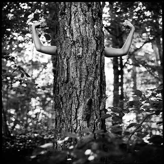 analog Hasselblad503Cxi d76 Tree  forest arms Kodak TriX400