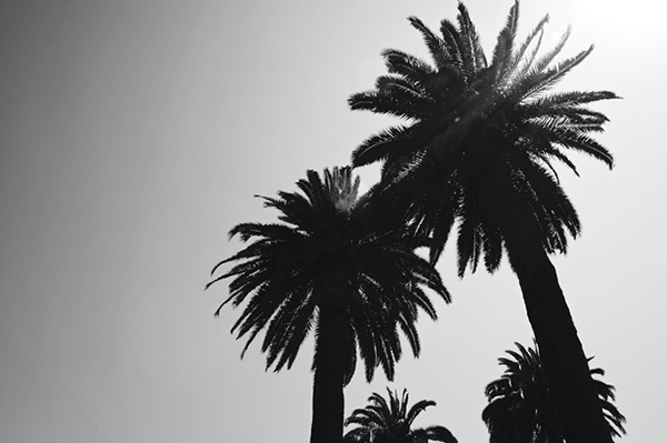 California Vision Project. A B&W vision on Behance