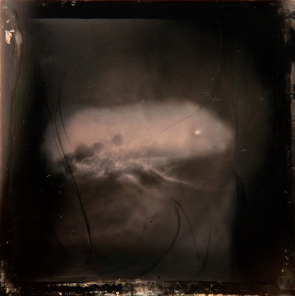 wet plate  collodion  tintype   Medium Format yashica-d rollieflex insect memento mori bug abstract