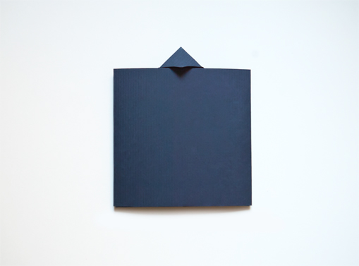 origami  File folder cd case Lidia Lukianova