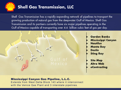 Frontend Design OIL AND GAS energy Shell Trading Corporate Design