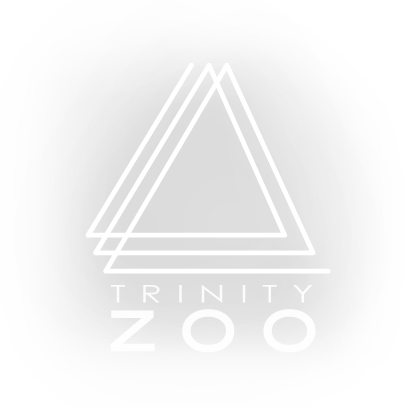 zoo Logo Design wishlist infinity triangle