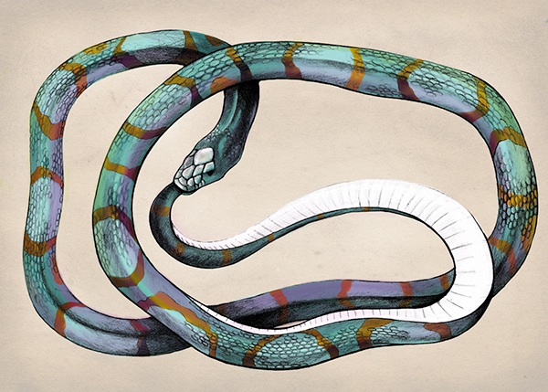 ouroboros snake Nature digital painting