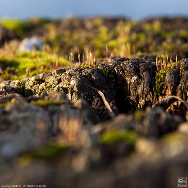 Landscape Miniature sunset blur tilt shift Nature cliff valley rocks