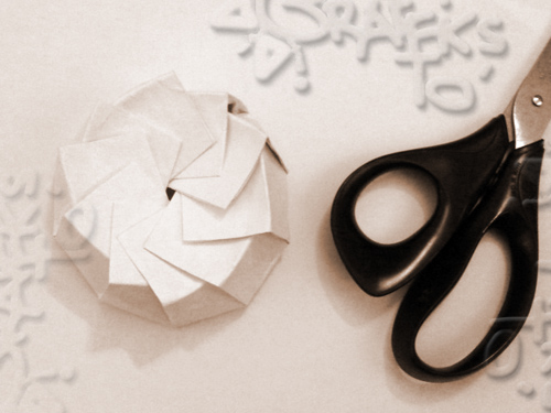 origami  food package graphic arts senegal africa design