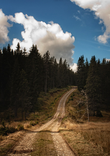 sumava bohemian forest roads clouds SKY scenery