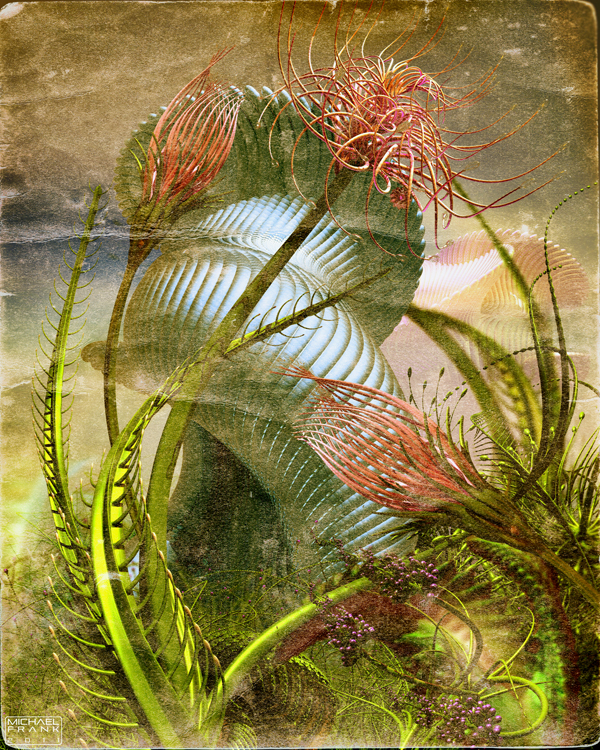 Bryce Michael Frank 3D abstract Landscape undersea surreal Shells plants Nature photo-realistic photoshop dream