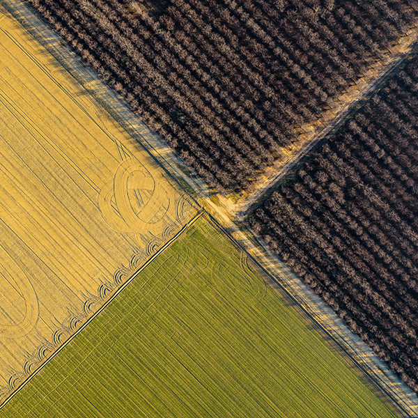 Project #17 Agricultural Aerial Land Patterns - 1
