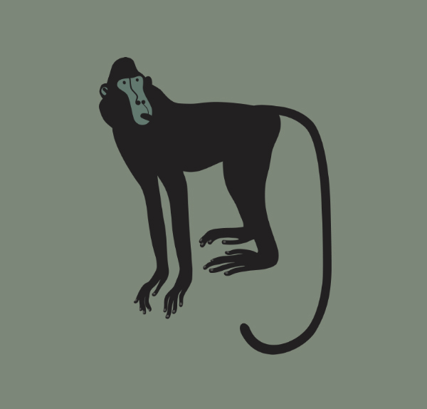 t-shirt graphics monkey elephant