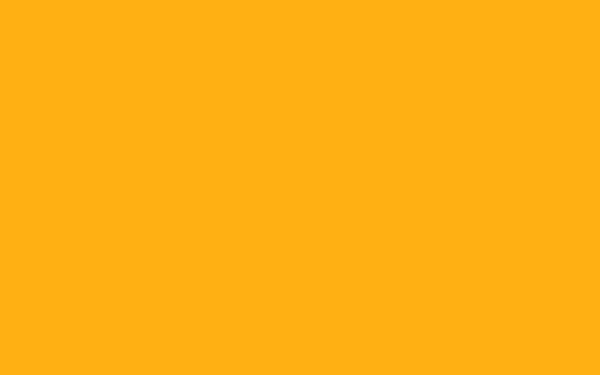 Adobe Portfolio dubai grad Show Exhibition  logo branded environments orange