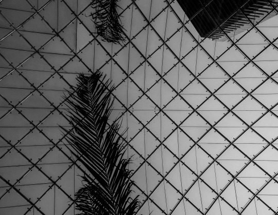 arquitechture lines mexico city b&w photography lineas arquitectura mexico CDMX geometria Patterns